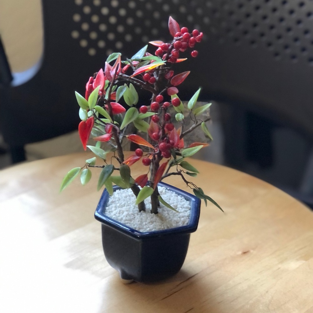Home decor- Beautiful stone plant